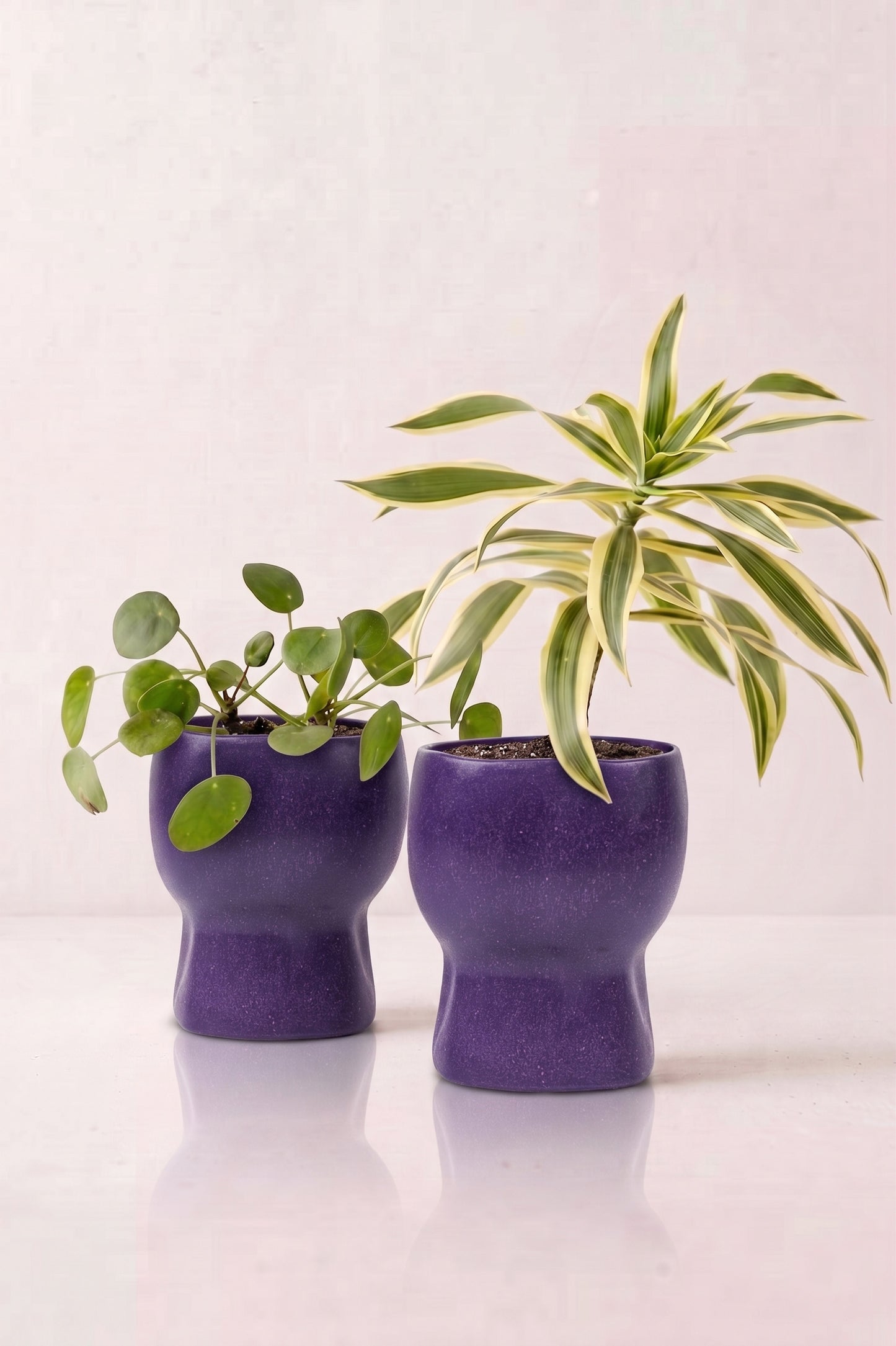 TurtleTales Arbor Craft Rice Husk Indoor Planters (440ml) - Carbon Karma Eco Planter