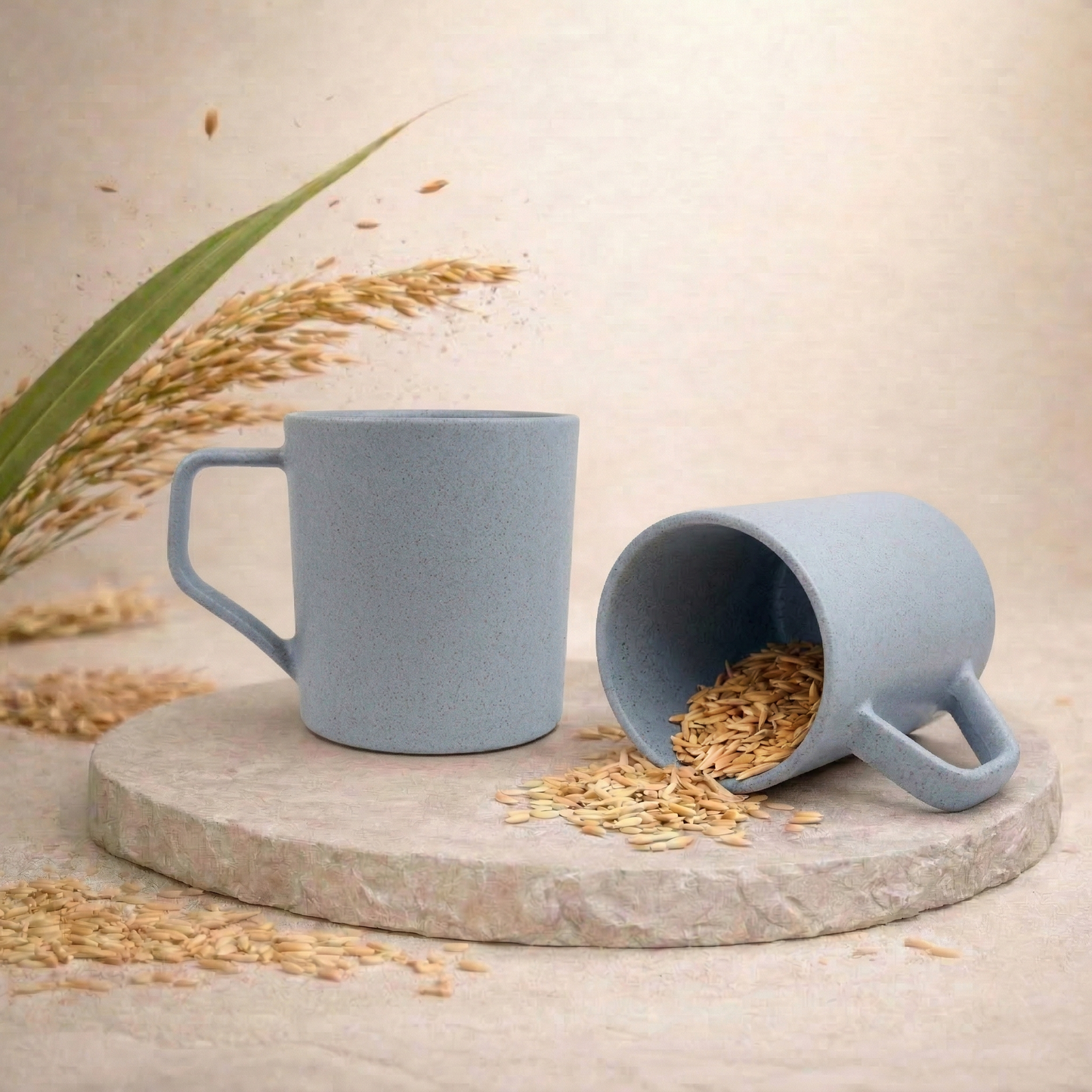 TurtleTales Turtle Brew Rice Husk Eco-Friendly Coffee Mugs (200ml) - Daily Companion Mug