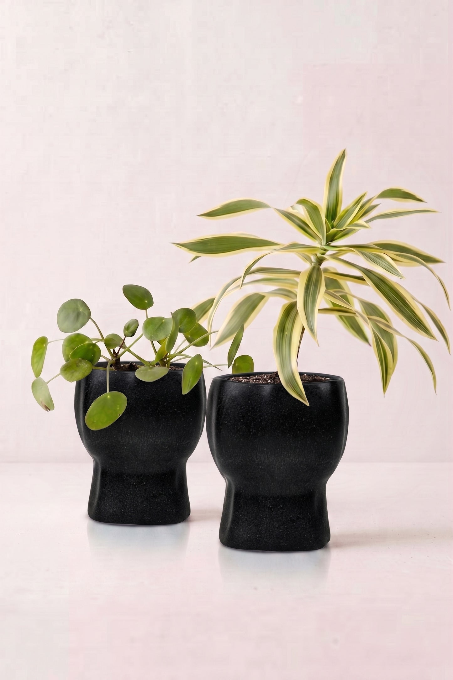 TurtleTales Arbor Craft Rice Husk Indoor Planters (440ml) - Carbon Karma Eco Planter