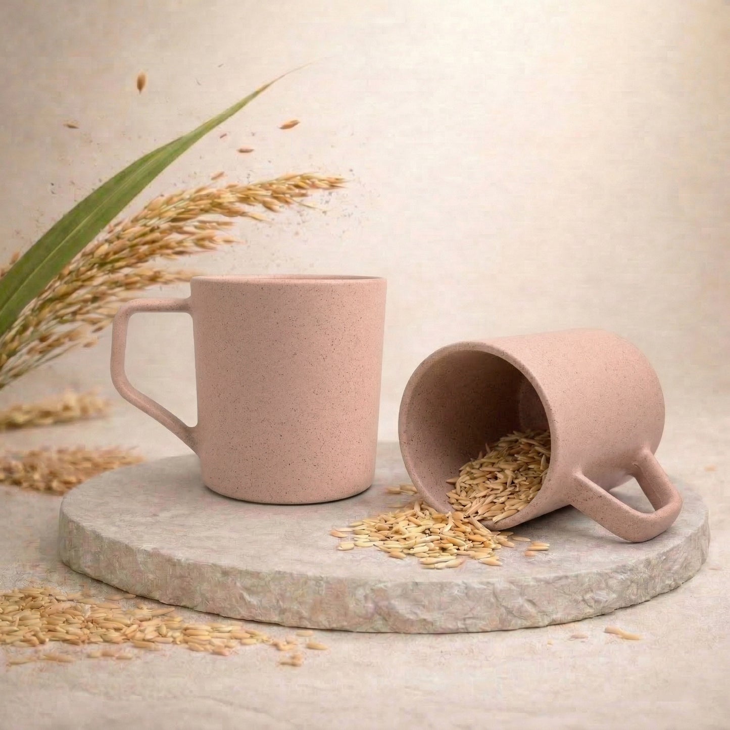 TurtleTales Turtle Brew Rice Husk Eco-Friendly Coffee Mugs (200ml) - Daily Companion Mug