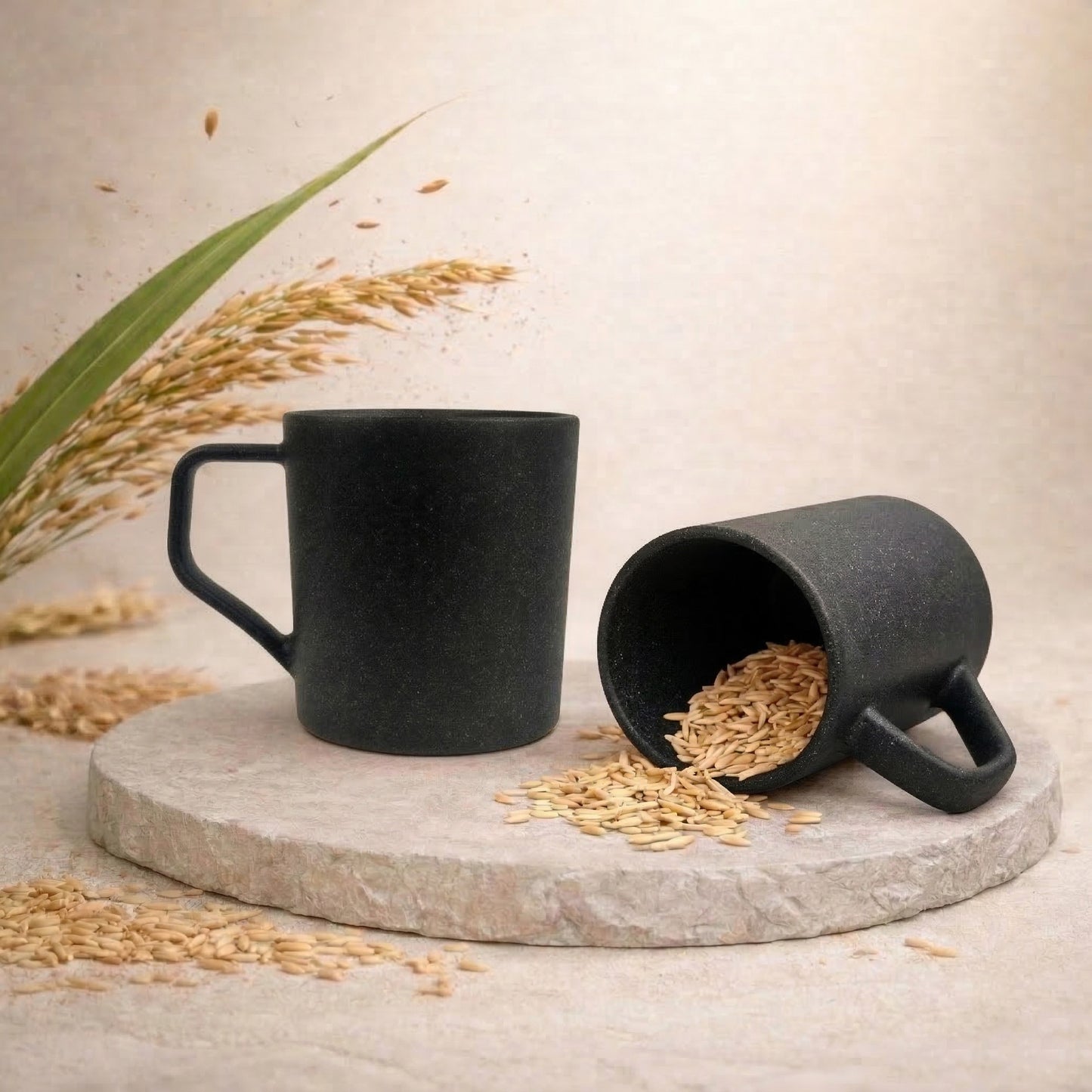 TurtleTales Turtle Brew Rice Husk Eco-Friendly Coffee Mugs (200ml) - Daily Companion Mug