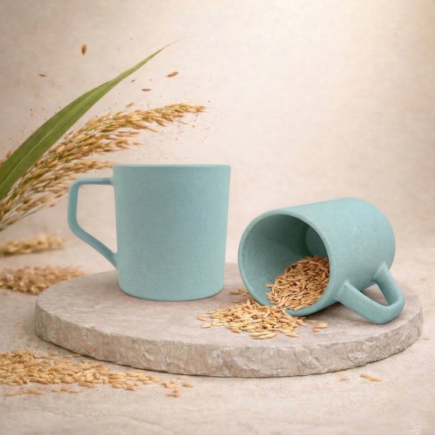 TurtleTales Turtle Brew Rice Husk Eco-Friendly Coffee Mugs (200ml) - Daily Companion Mug