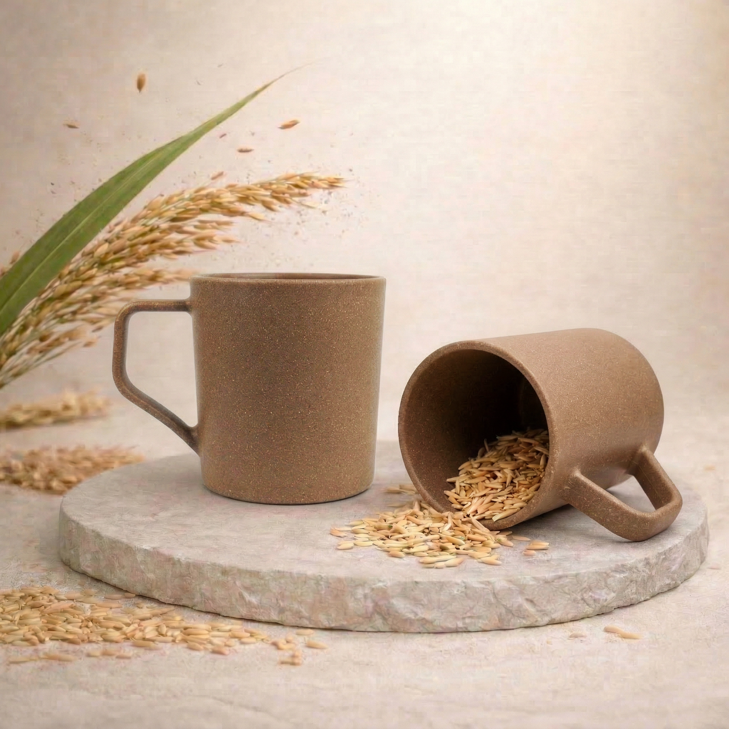 TurtleTales Turtle Brew Rice Husk Eco-Friendly Coffee Mugs (200ml) - Daily Companion Mug
