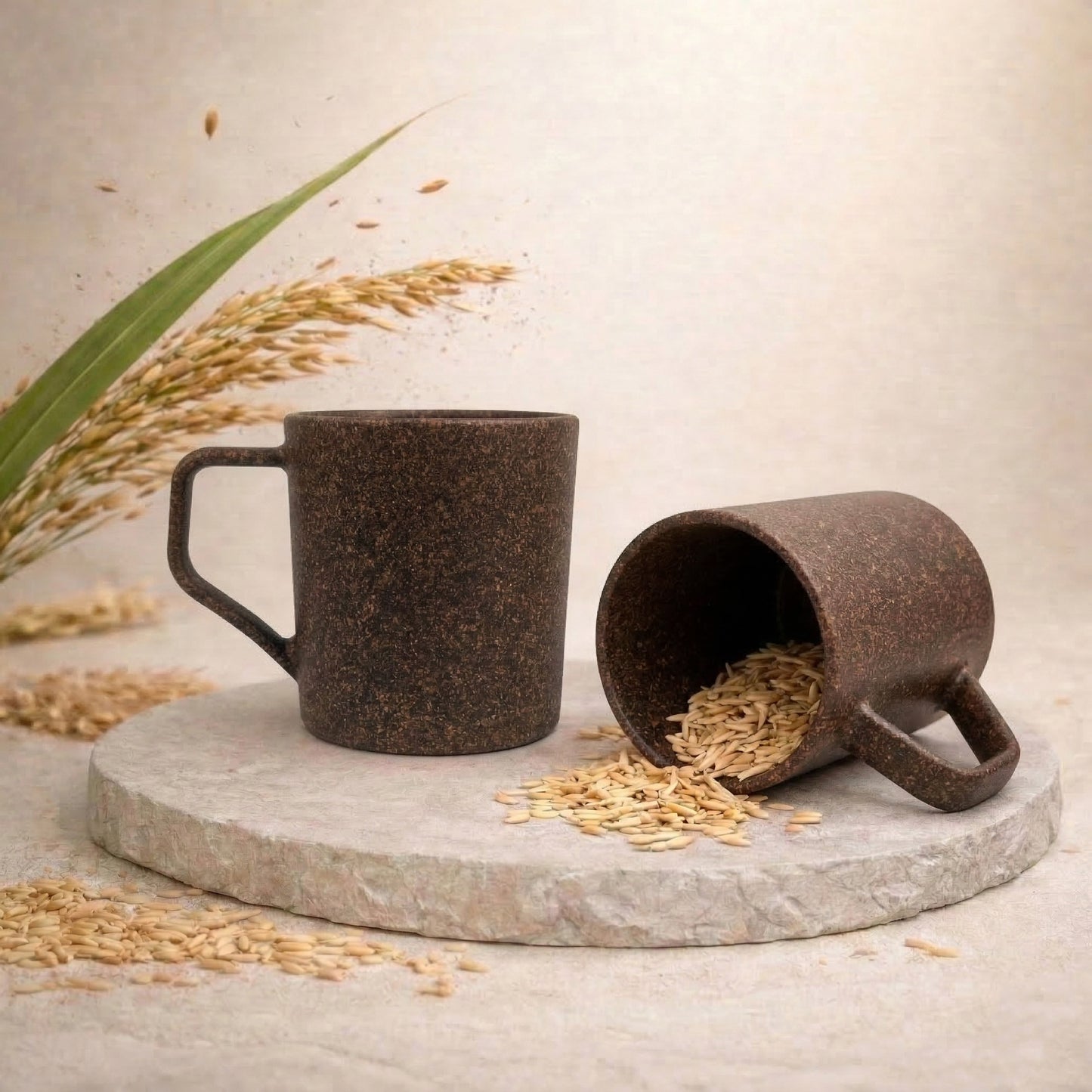 TurtleTales Turtle Brew Rice Husk Eco-Friendly Coffee Mugs (200ml) - Daily Companion Mug