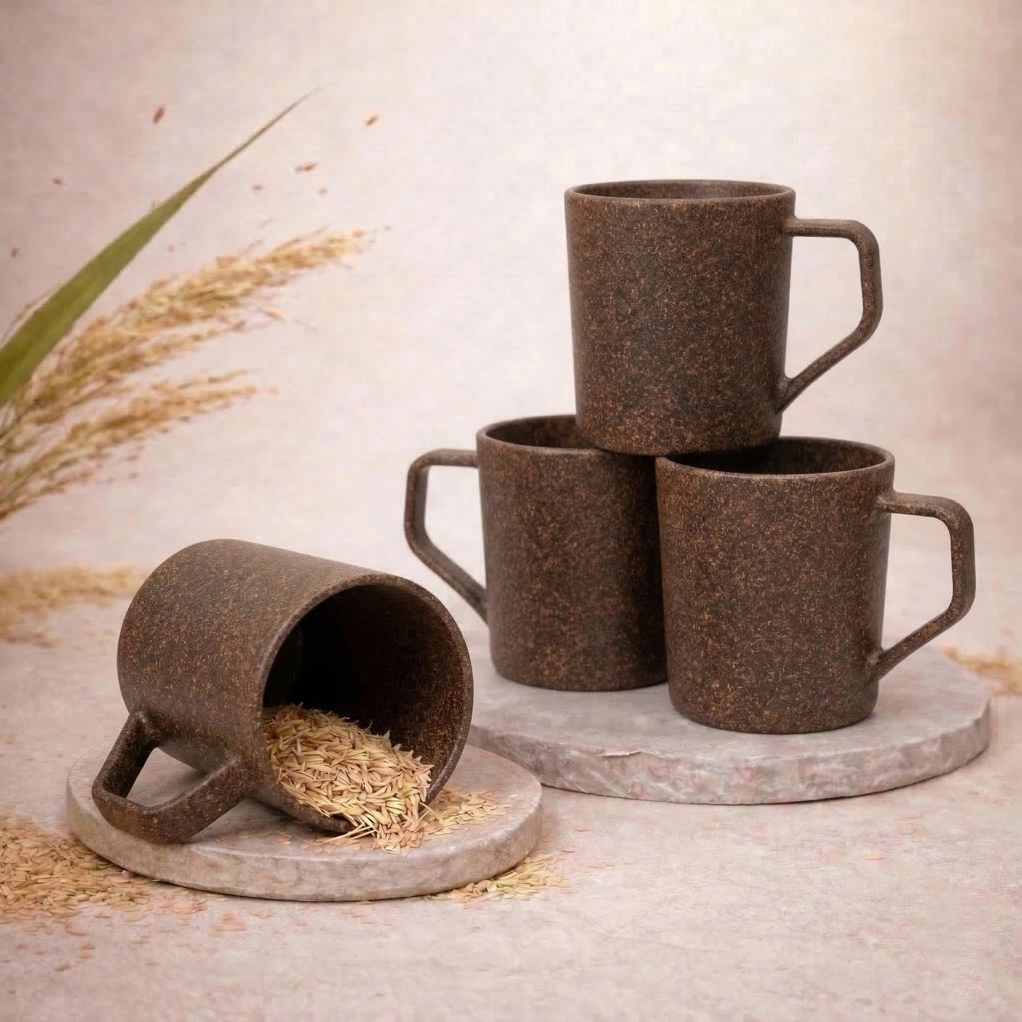 TurtleTales Turtle Brew Rice Husk Eco-Friendly Coffee Mugs (200ml) - Daily Companion Mug