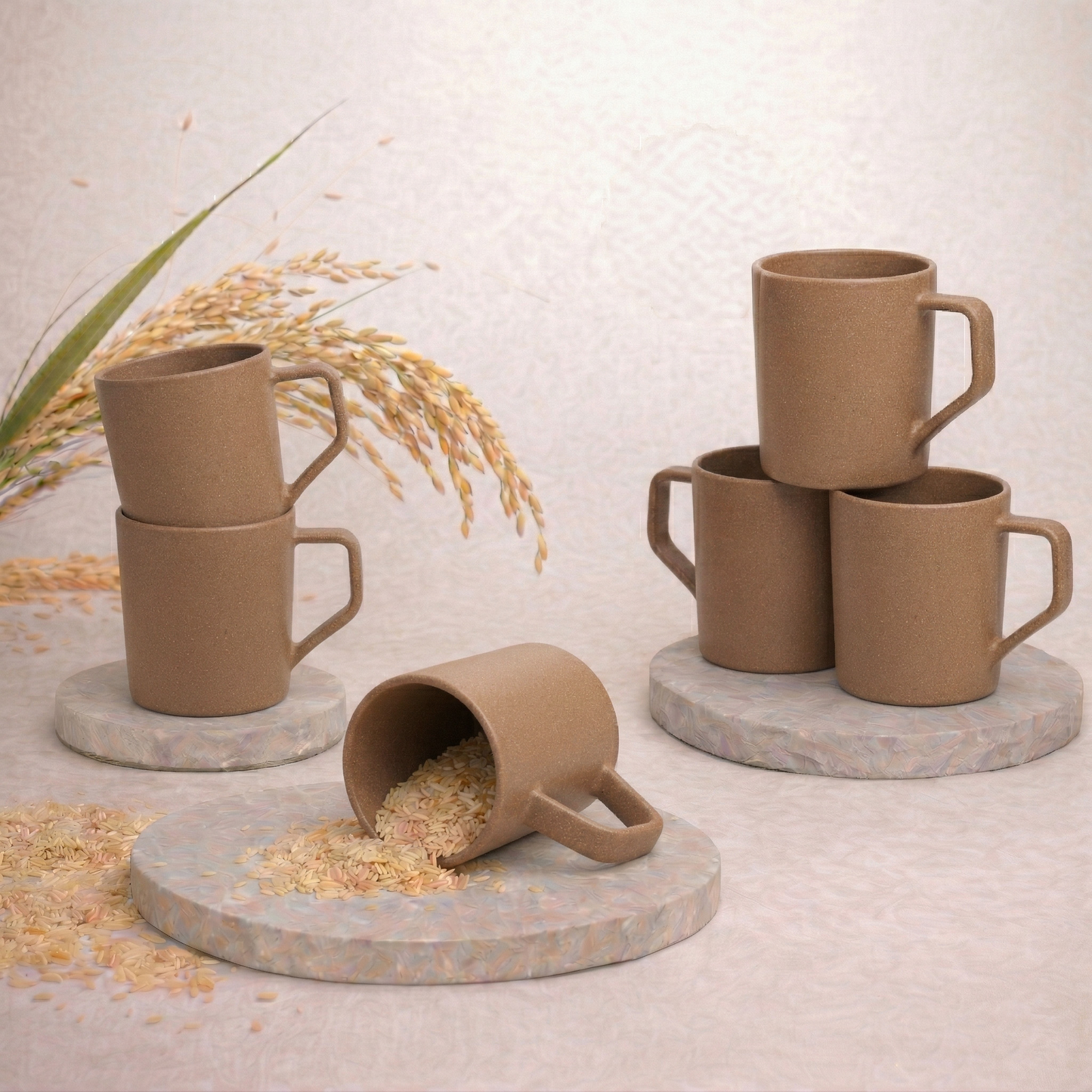 TurtleTales Turtle Brew Rice Husk Eco-Friendly Coffee Mugs (200ml) - Daily Companion Mug