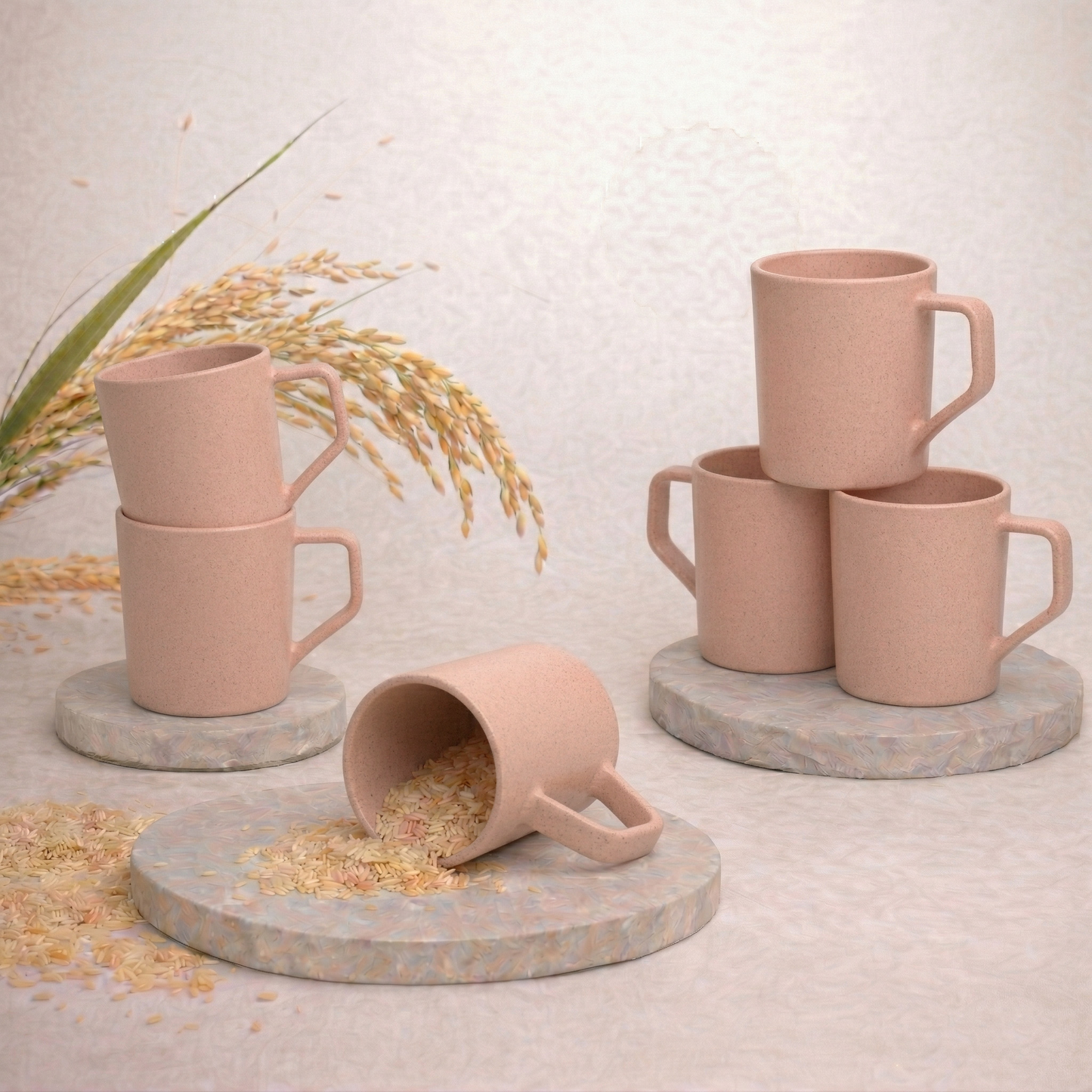 TurtleTales Turtle Brew Rice Husk Eco-Friendly Coffee Mugs (200ml) - Daily Companion Mug