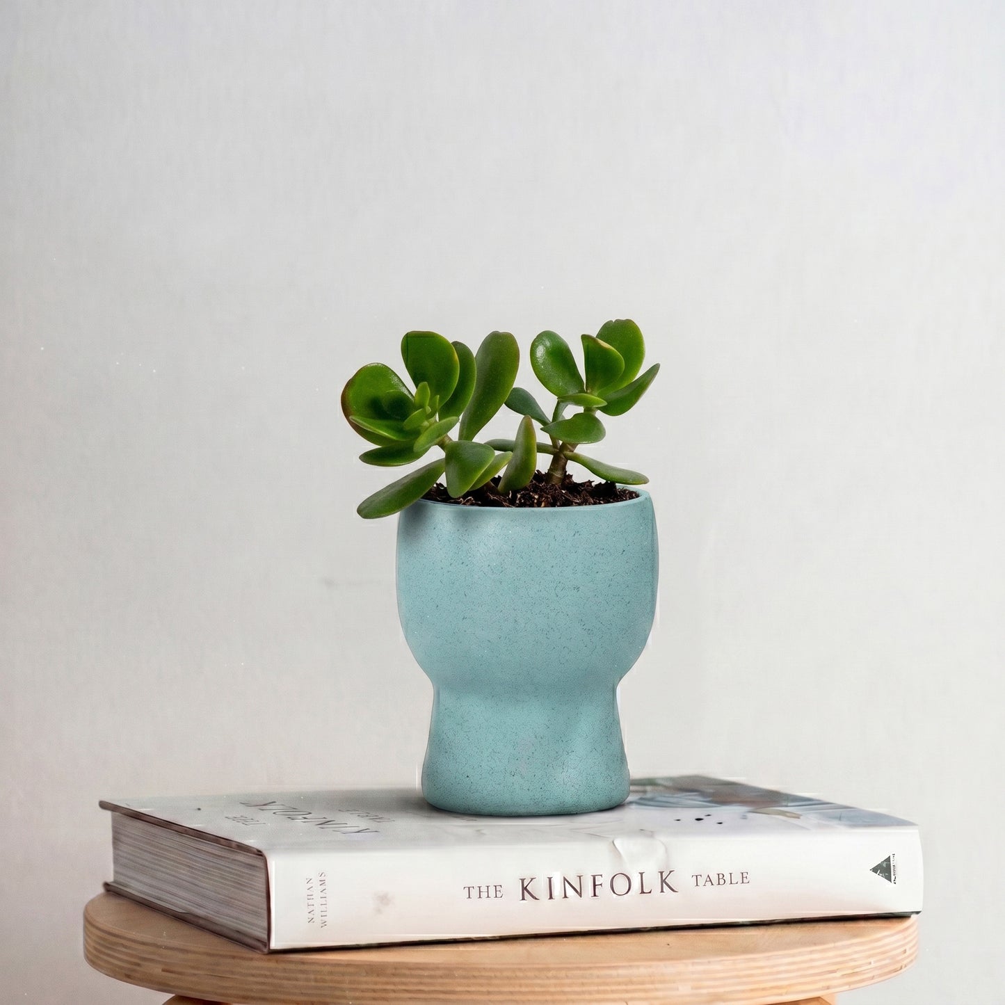 TurtleTales HuskMade Premium Eco Kit - Rice Husk Mug + Planter Gift Set